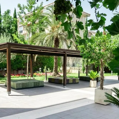 Ibo Albir L'Alfas del Pi